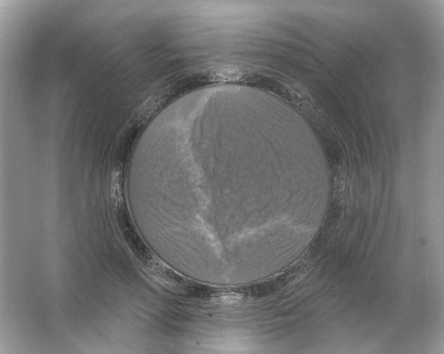 X0000063510598200602172148