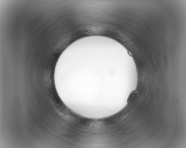 X0000063510599200602172148