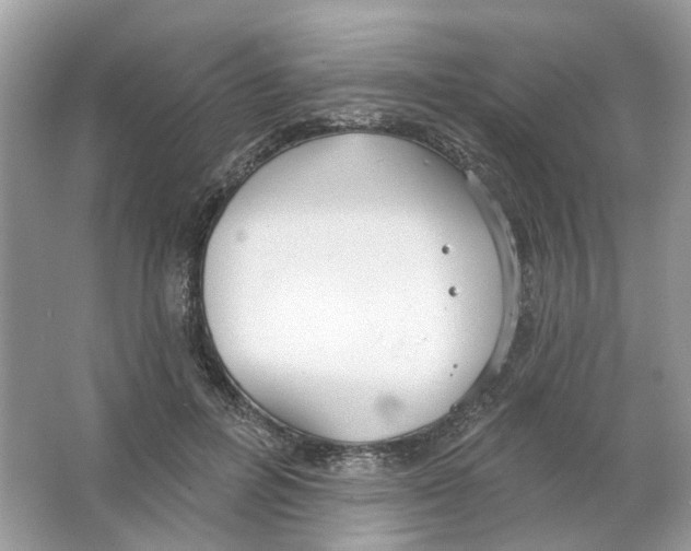 X0000063510600200602172148