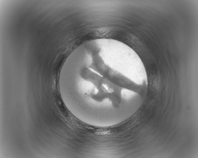 X0000063510602200602172148