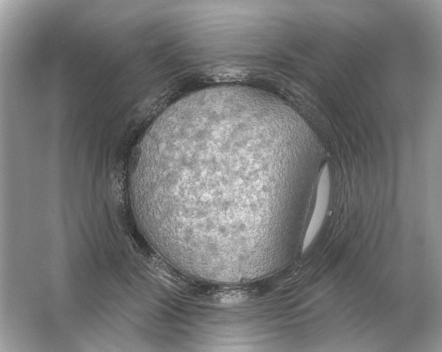 X0000063510604200602172148