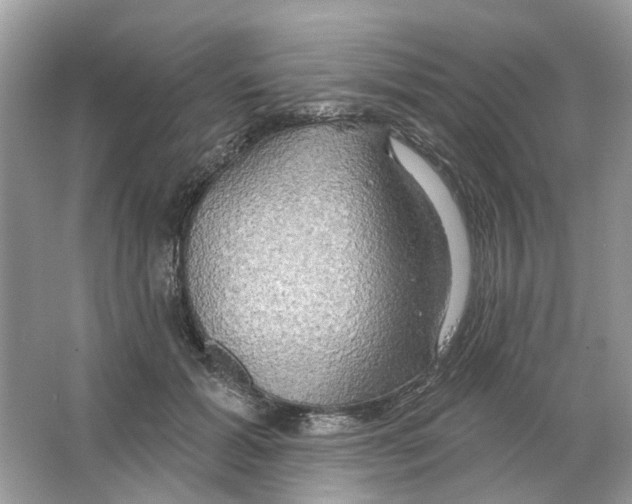 X0000063510605200602172148