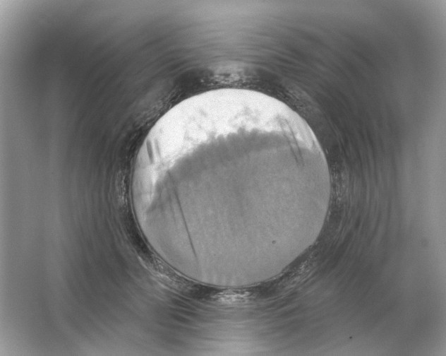 X0000063510606200602172148