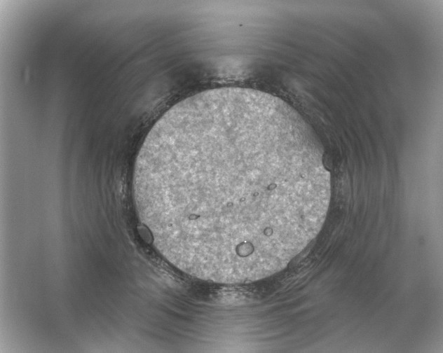 X0000063510608200602172148