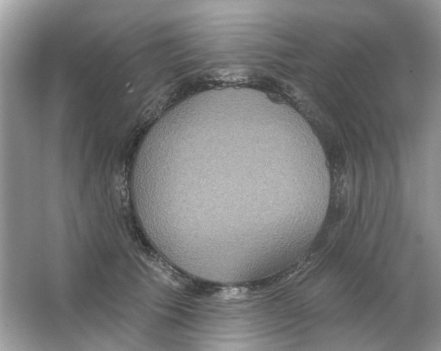 X0000063510609200602172148