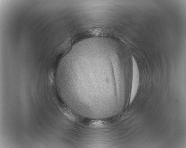 X0000063510611200602172148