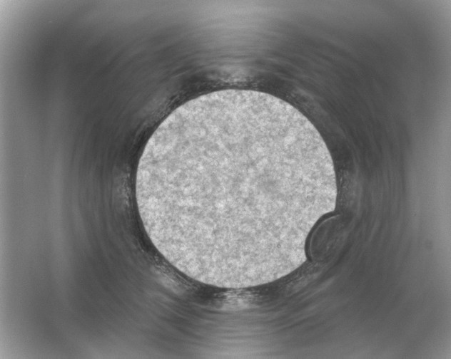 X0000063510612200602172148