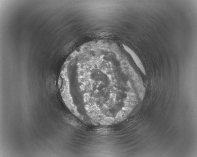 X0000063510615200602172148