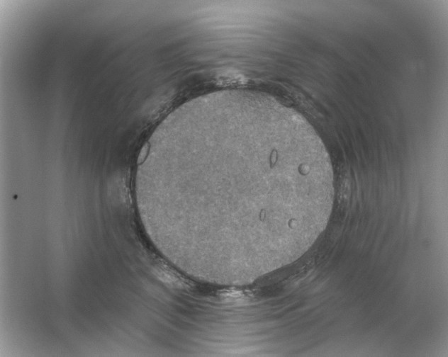 X0000063510616200602172148