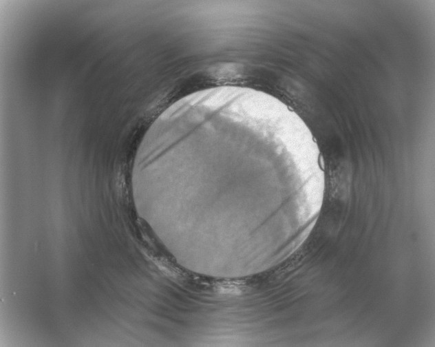 X0000063510618200602172148