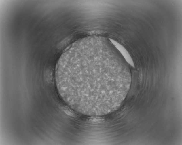 X0000063510619200602172148