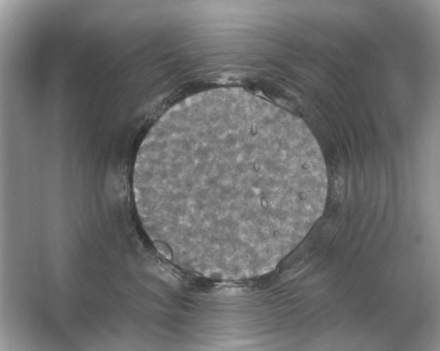 X0000063510620200602172148