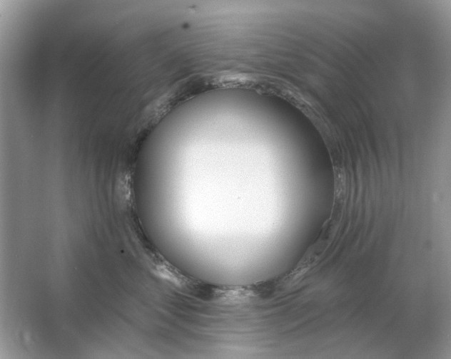 X0000063510621200602172148