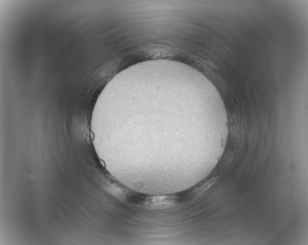 X0000063510622200602172148