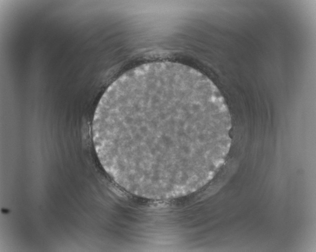 X0000063510624200602172148