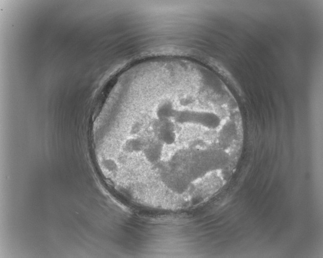 X0000063510625200602172147