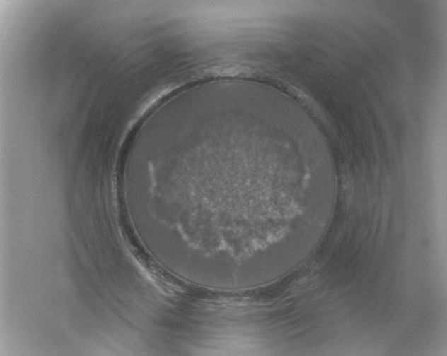 X0000063510626200602172147