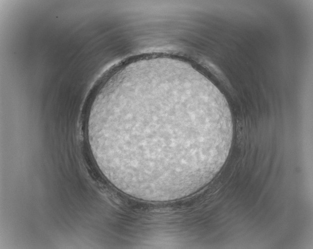 X0000063510628200602172147