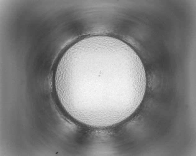 X0000063510632200602172147