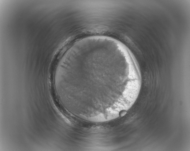 X0000063510634200602172147