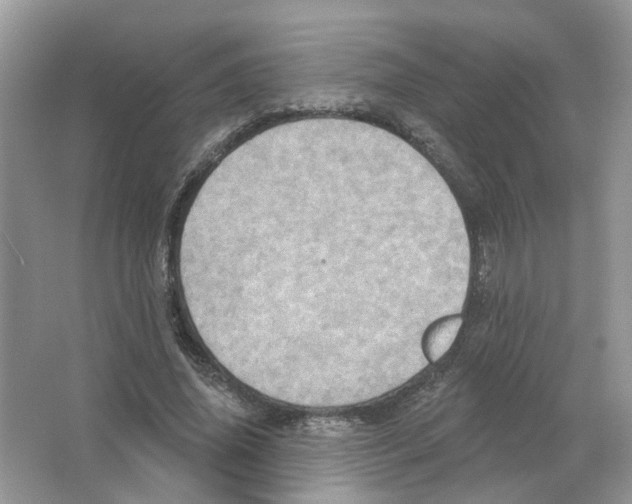 X0000063510636200602172147