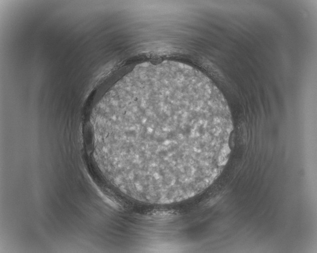 X0000063510638200602172147