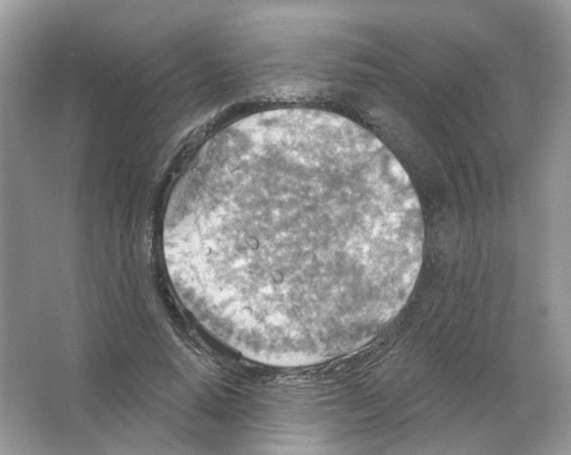 X0000063510640200602172147