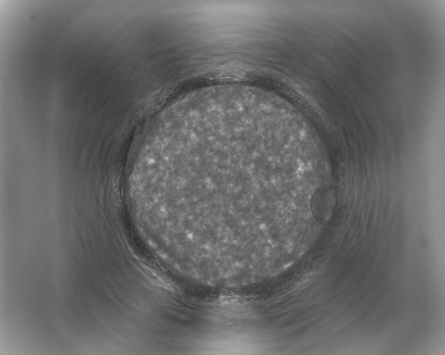 X0000063510641200602172147