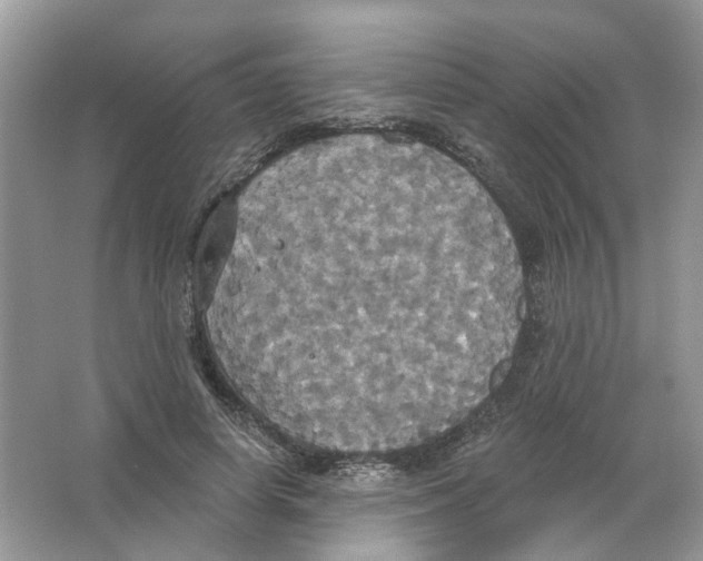 X0000063510642200602172147