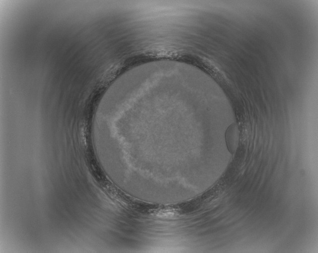 X0000063510643200602172147