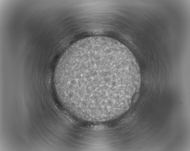 X0000063510645200602172147