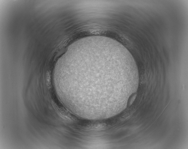 X0000063510646200602172147