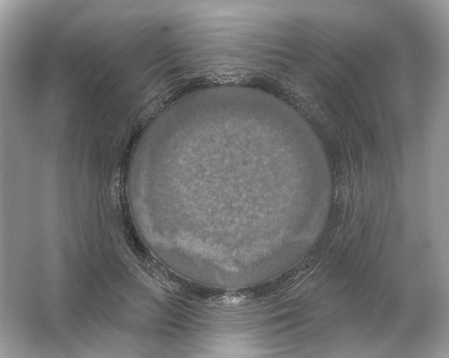 X0000063510647200602172147