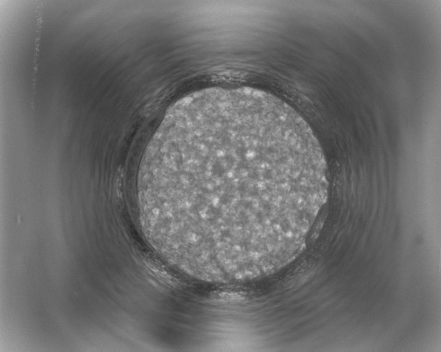 X0000063510649200602172147