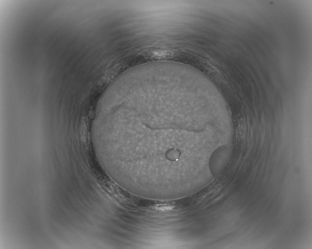 X0000063510651200602172147