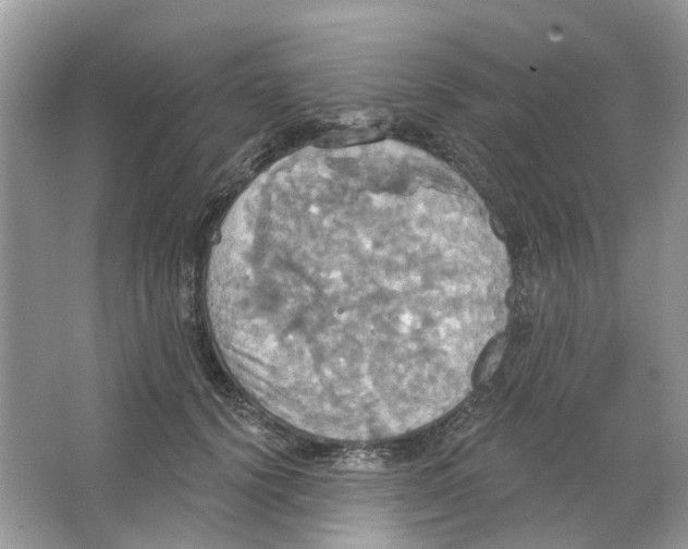 X0000063510656200602172148