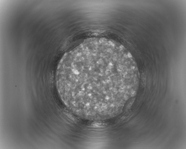 X0000063510657200602172148