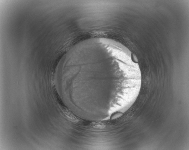 X0000063510658200602172148