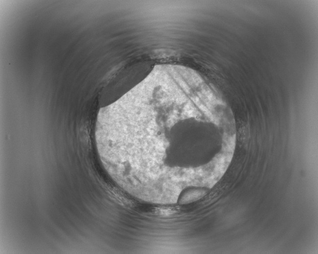 X0000063510662200602172148