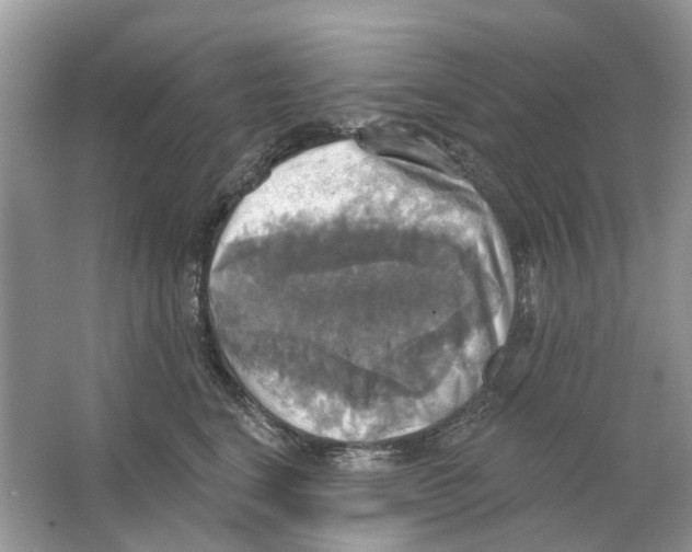 X0000063510664200602172148