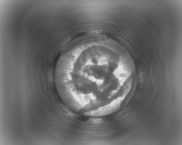 X0000063510665200602172148