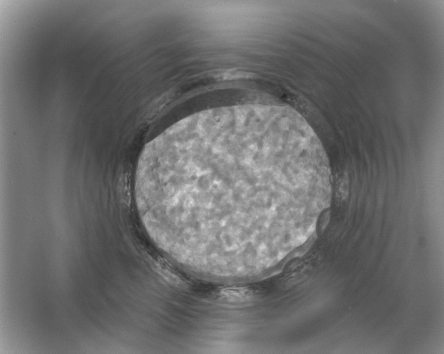 X0000063510666200602172148