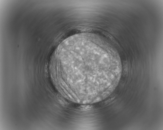 X0000063510667200602172148