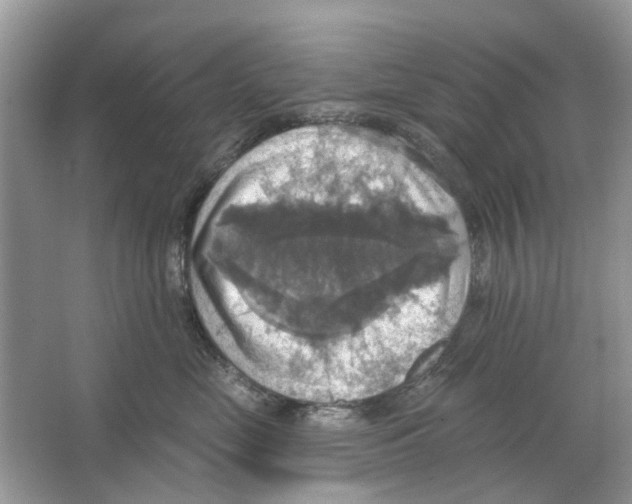 X0000063510669200602172148