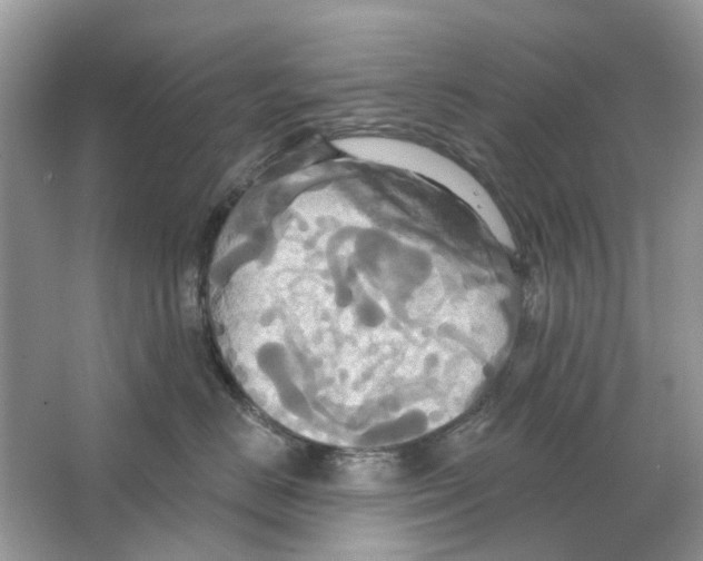 X0000063510670200602172148