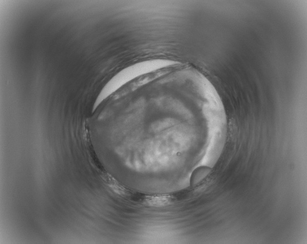 X0000063510671200602172148