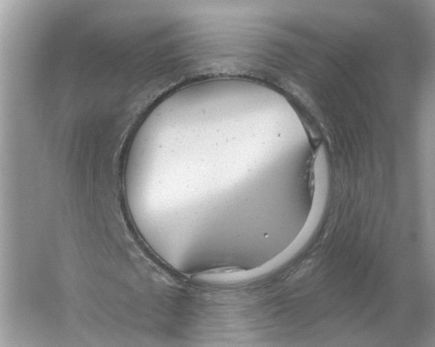 X0000063510673200602172147