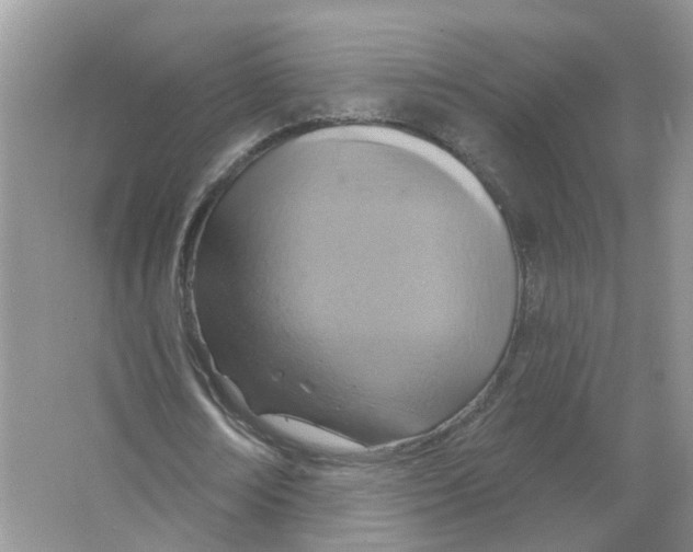 X0000063510674200602172147