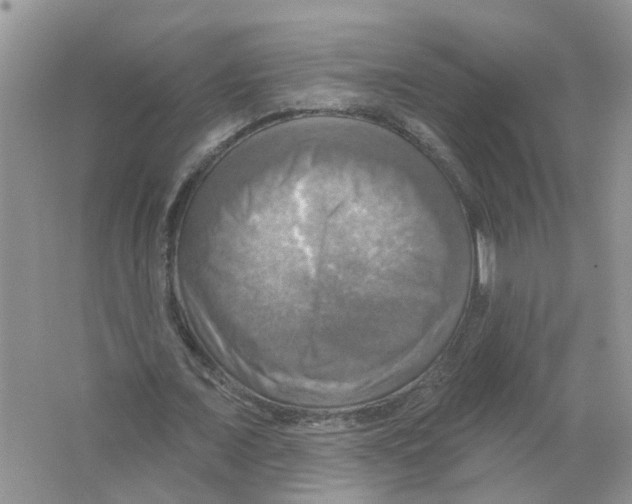 X0000063510675200602172147