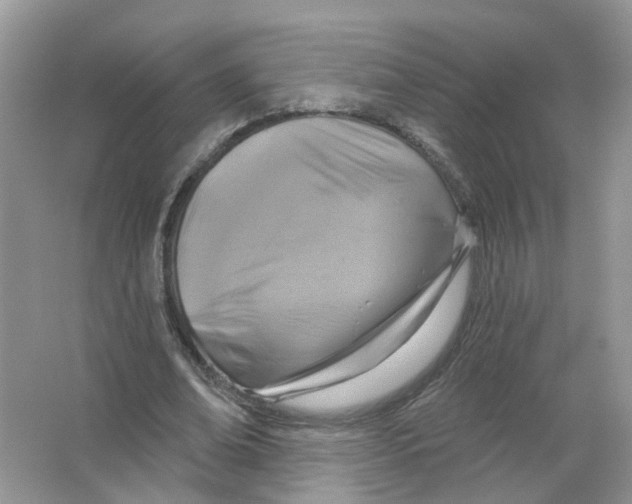 X0000063510678200602172147